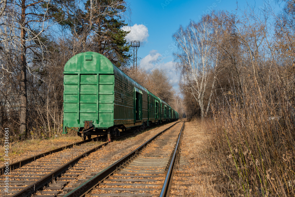 Freight cars going into the distance through the forest on the railway Freight cars going into the distance through the forest on the railway
