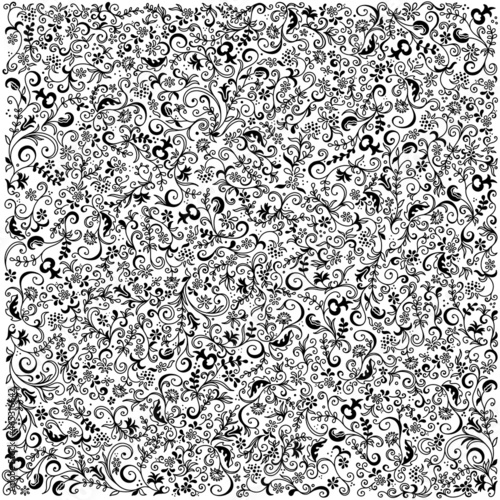 Картината върху платно Ethnic ornament, floral background, raster, black on a white background