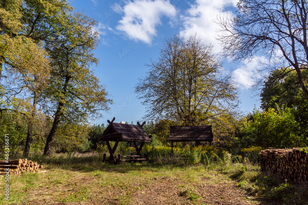 Jesień w Puszczy Knyszyńskiej, Podlasie, Polska Jesień w Puszczy Knyszyńskiej, Podlasie, Polska