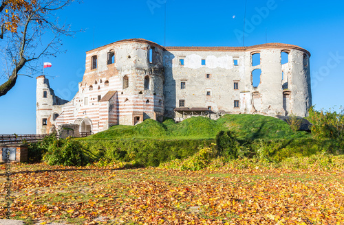 Janowiec zamek photo