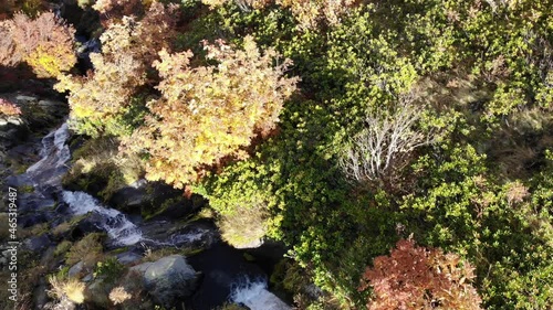 4K Drone flight over a mountain stream. Autumn forest. Panorama of mountain peaks in the snow