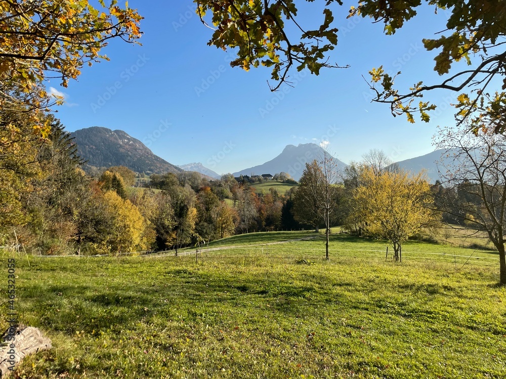 Fototapeta premium autumn landscape with trees