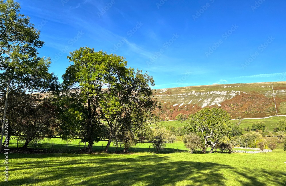 Obraz premium Yorkshire Dales landscape near Litton, with fields, old trees, and distant hills in Litton, Skipton, UK