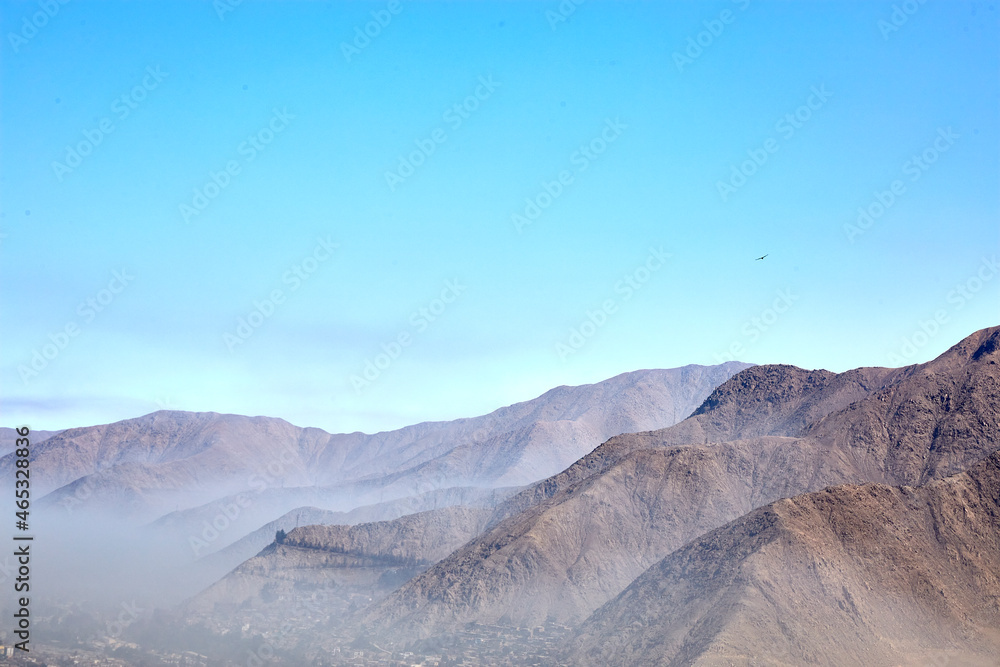 Fototapeta premium Condores