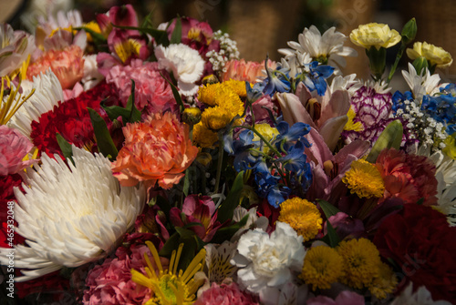 Wallpaper Mural flowers Torontodigital.ca