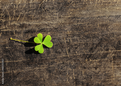 A clover on a wooden grainy background