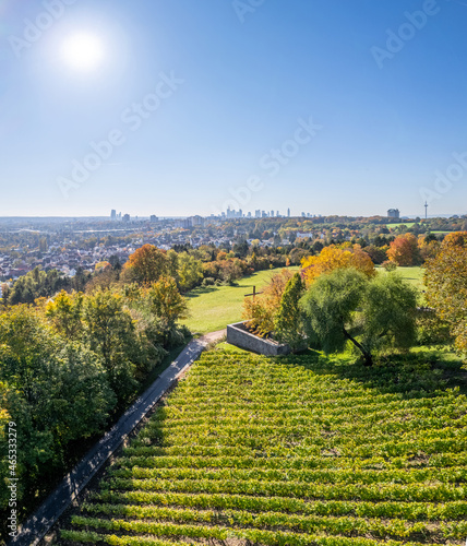 Frankfurt Weinberg am Lohrberg im Herbst hochkant