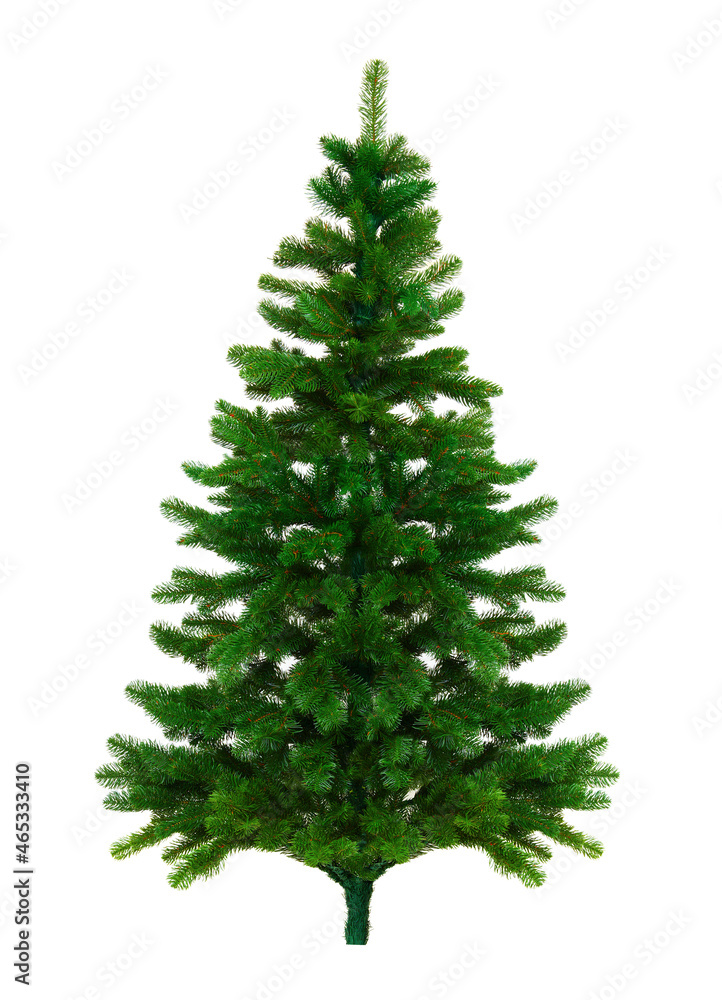 Obraz premium Christmas tree isolated on white