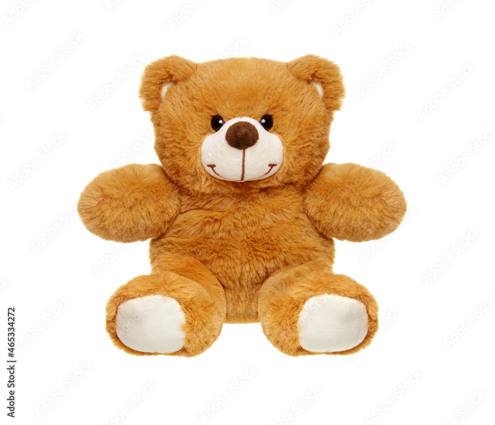 Teddy bear isolated on white Teddy bear isolated on white