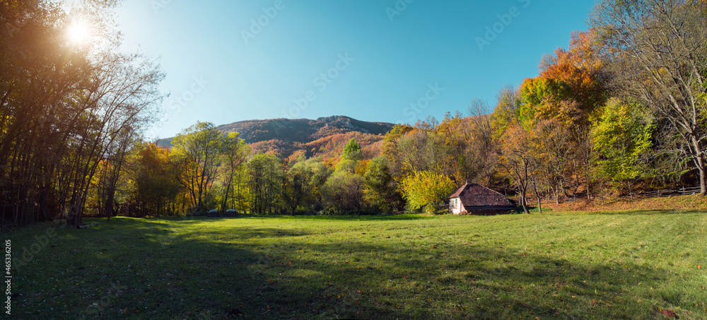 Traditional rural house on green grass field surrounded by forests in autumn