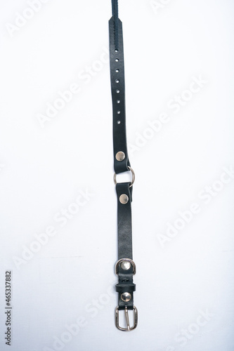 dog collars photographed on a white background