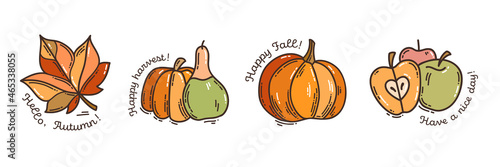 Colorful hand-drawn harvest stickers set with pumpkin, maple leaf, and apples in doodle style isolated on white background. Cute vector collection for seasonal decoration.
