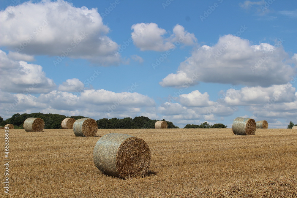 A field on a summer's day with hay bales in a field waiting to be harvested with blue sky and clouds in background, near Wakefield West Yorkshire in the UK