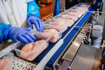 Meat processing plant. Production line of meat.Line for the production of meat with packaging and cutting . Industrial equipment at a meat factory.