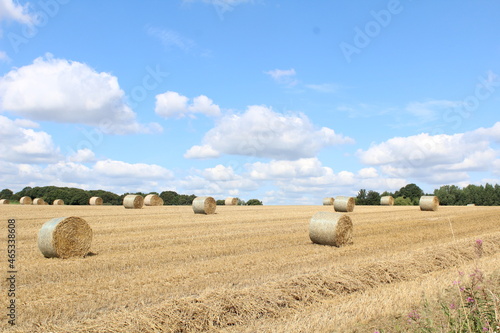 A field on a summer's day with hay bales in a field waiting to be harvested with blue sky and clouds in background, near Wakefield West Yorkshire in the UK