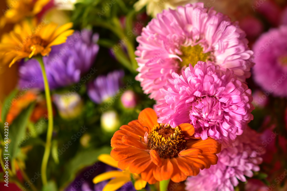 Colorful bouquet of garden flowers in the room Colorful bouquet of garden flowers in the room
