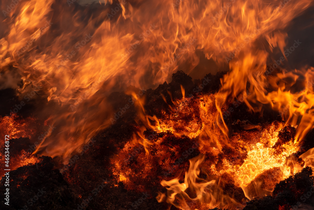 fuoco fuoco