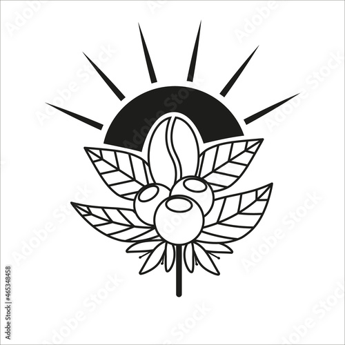 Vector logo for coffee. Emblem package  of  coffee. Silhouette of coffee bean on sunset. Black linear logo on white background.
