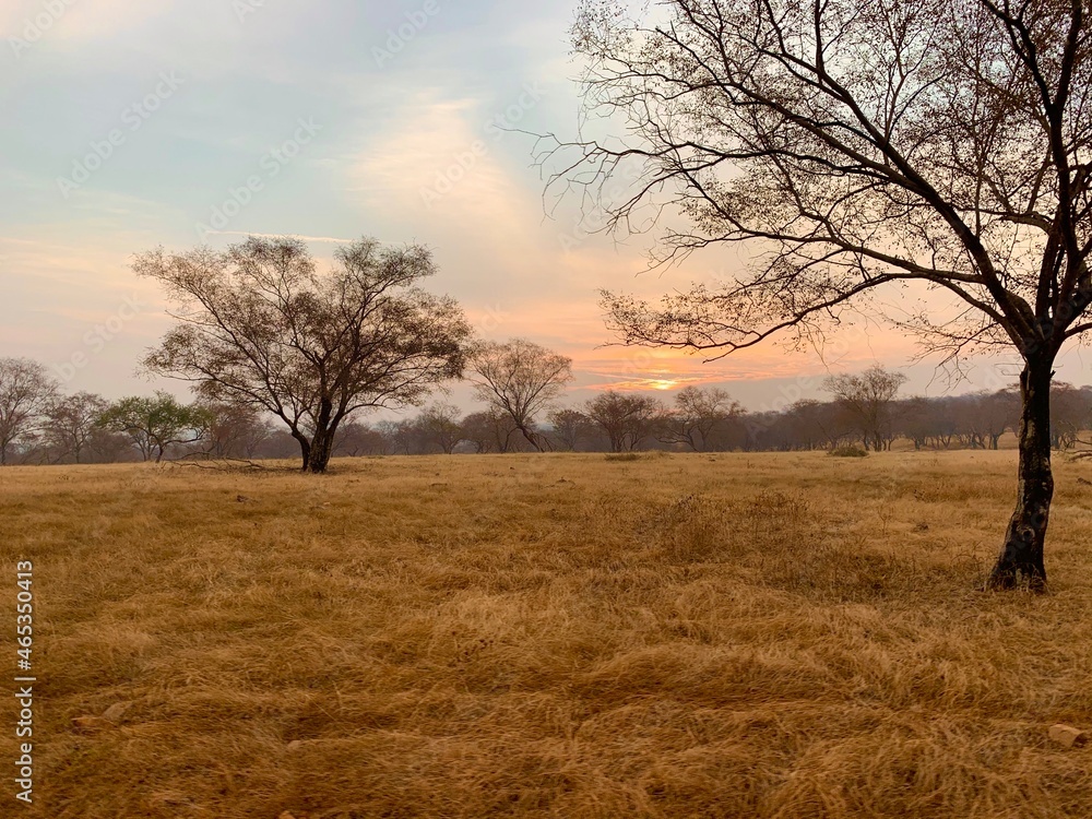 Sunrise, India