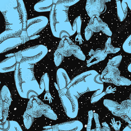 Catwoman with sphynx cat head sits in lotus position and shows with hand a sign ok. Background of the night starry sky, space. Vector