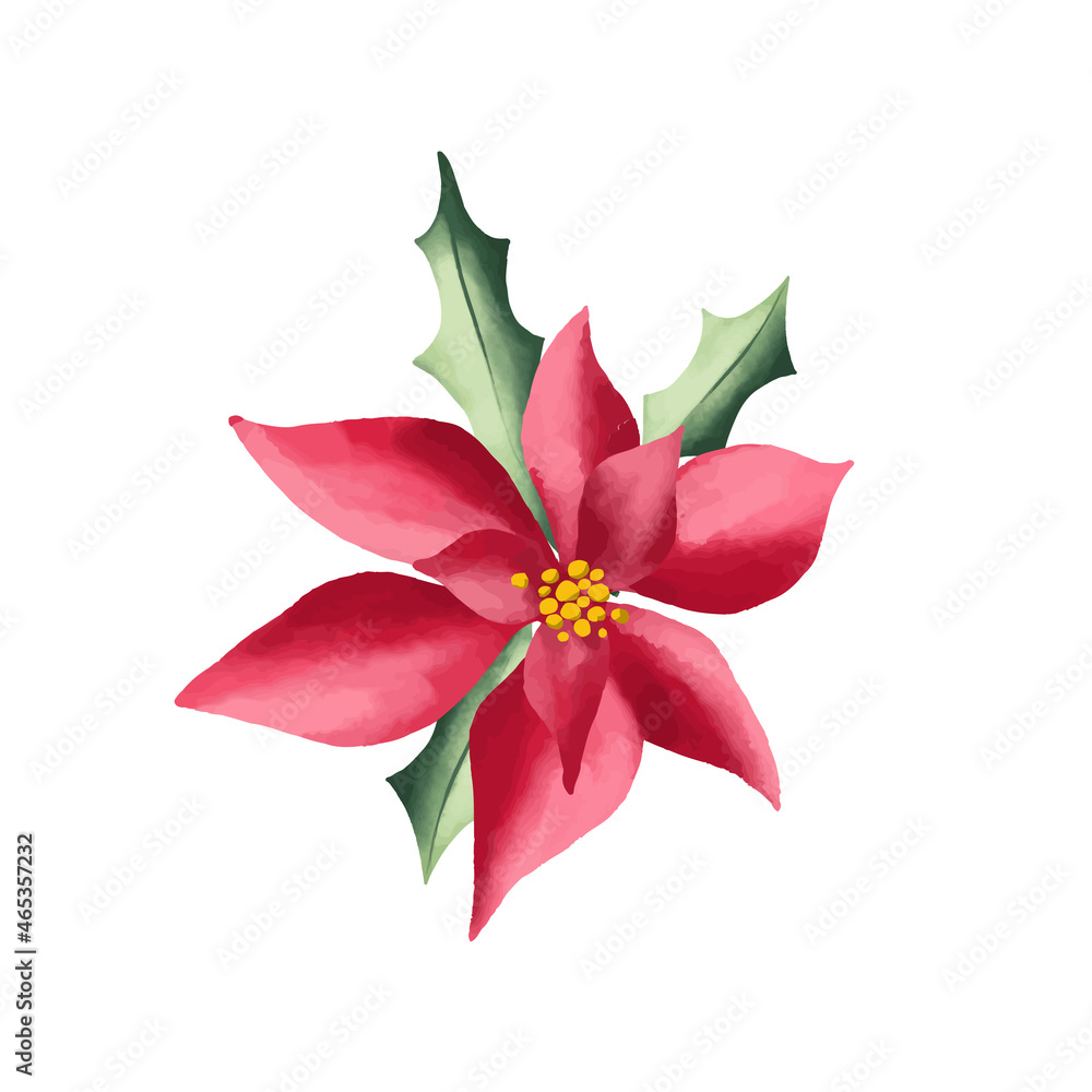 Christmas poinsettia selection vector design set. Watercolor style plants isolated on white background.