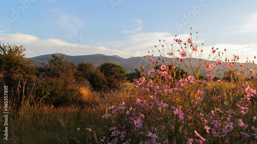 Paisaje