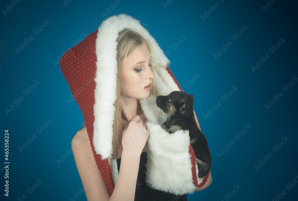 New year of dog, girl hold puppy. Merry Christmas and Happy New Year! Wonderful makeup to celebrate new year. Charming girl in Santa Claus hat with puppy. Chinese calendar new year concept. New year of dog, girl hold puppy. Merry Christmas and Happy New Year! Wonderful makeup to celebrate new year. Charming girl in Santa Claus hat with puppy. Chinese calendar new year concept.