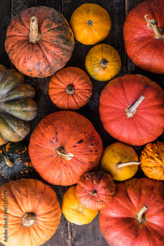 Pile of many multi colored pumpkins and gourds of different shapes and colors. Different kinds Colorful pumpkins decoration