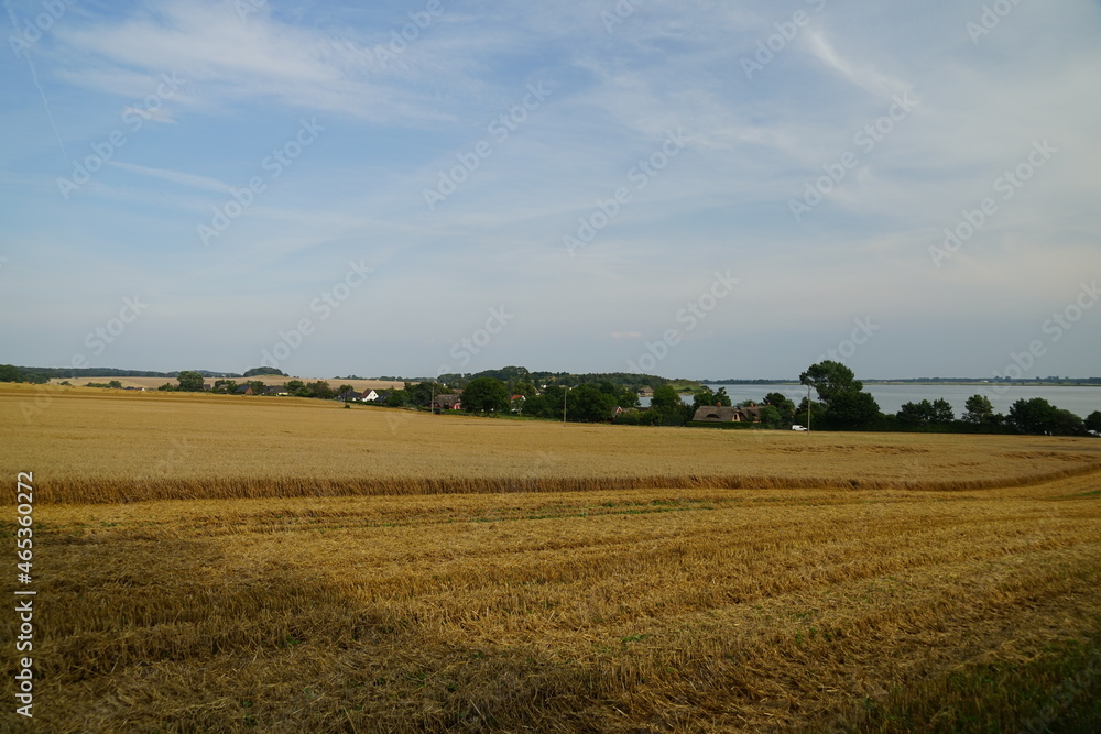 Felder auf der Ostseeinsel Rügen