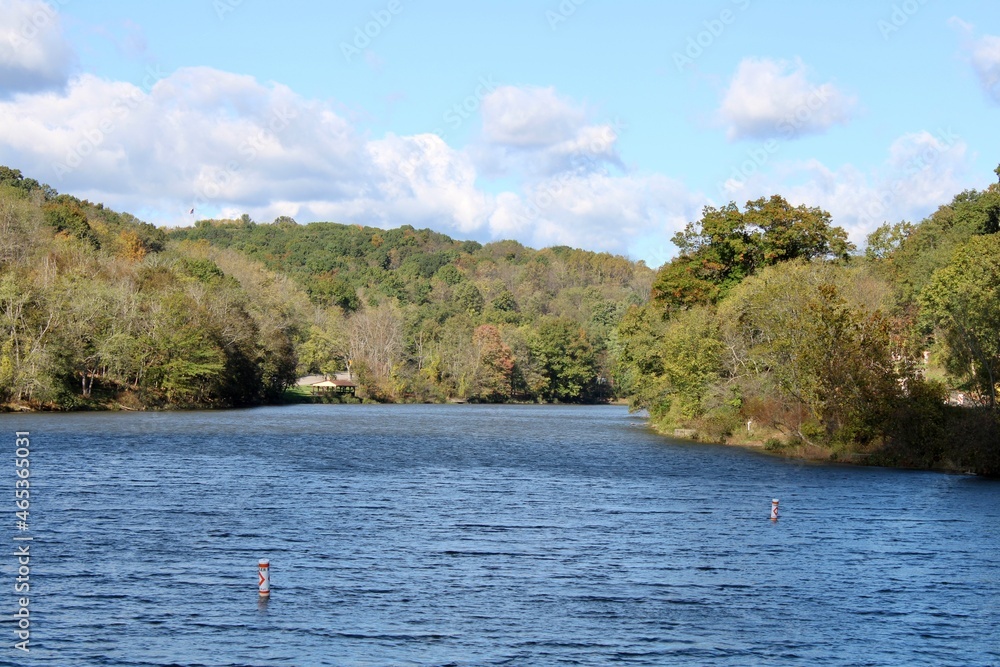 Autumn trees at the lake 