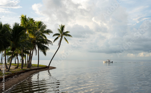Calm waters with a boat and palm trees