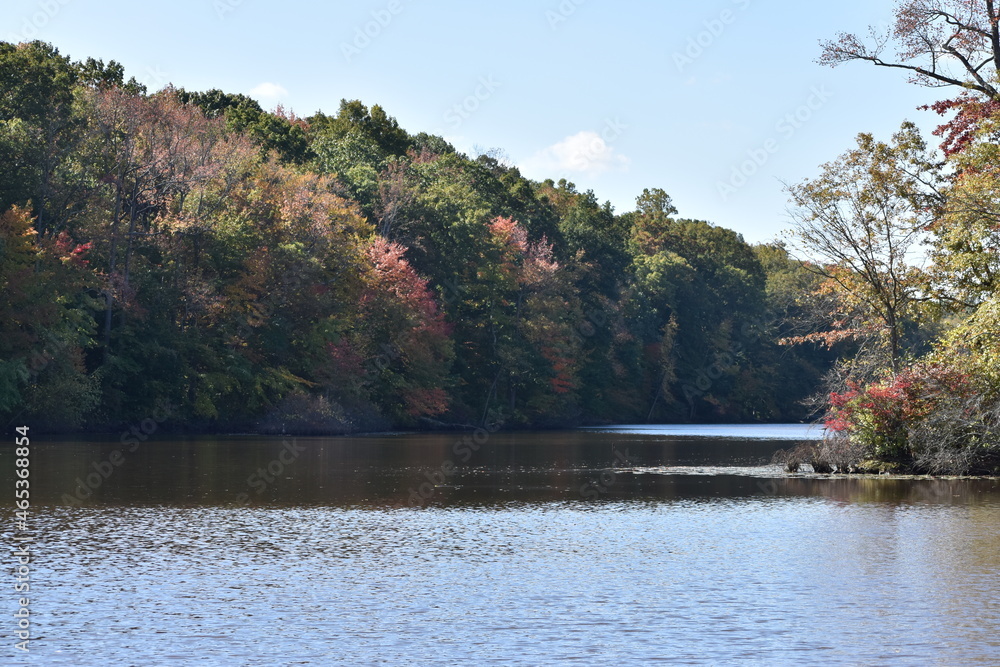 fall foliage fall foliage