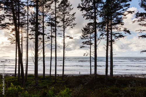 Ruby Beach sunset on Washington coast