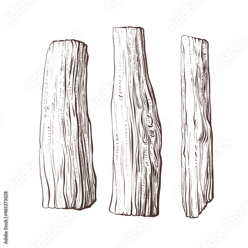 Palo santo tree, firewood set. Vector engraving