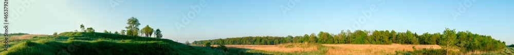 Obraz premium Spring forest and field on a background of blue sky