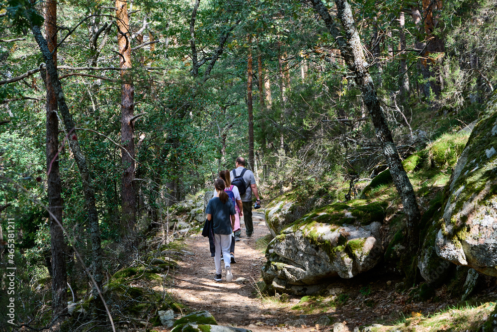 Group of hikers walking in the forest in spring