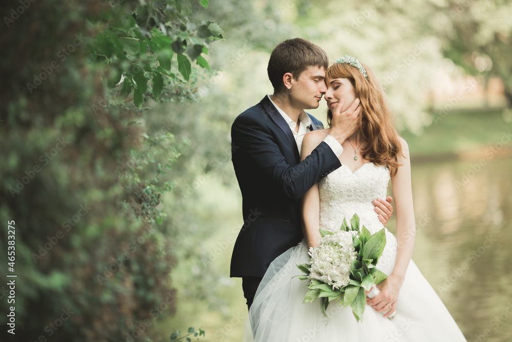 Happy wedding couple walking in a botanical park Happy wedding couple walking in a botanical park