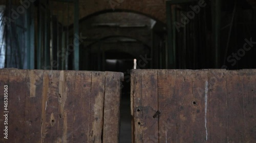 Old wooden door in a dark mystical room spontaneously opens and closes in the wind