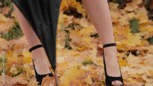 Painted peep toes in black high heel shoes and the tip of the umbrella on the background of yellow and red autumn foliage lying thickly on the ground