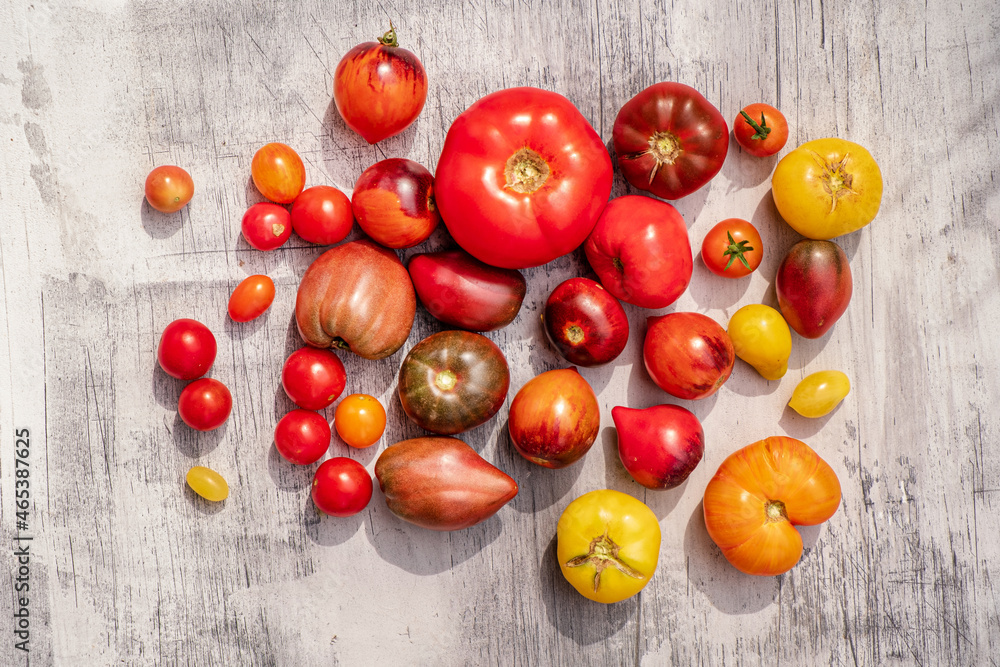 fresh tomatoes on the wooden background fresh tomatoes on the wooden background