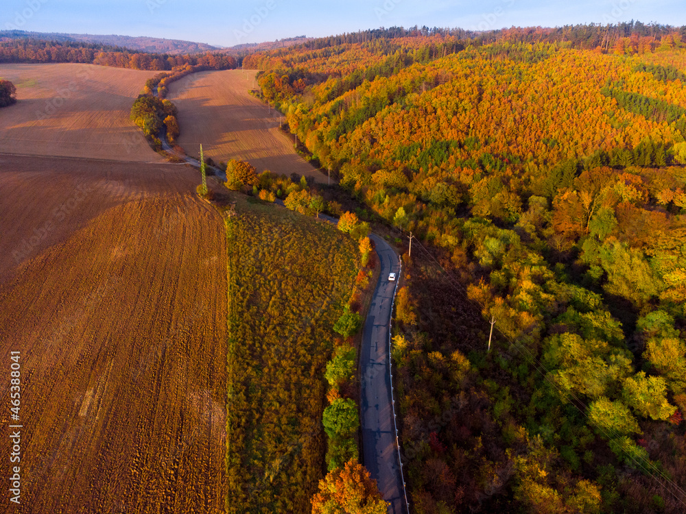 Aerial view of road with cars surrounded autumn colored forest