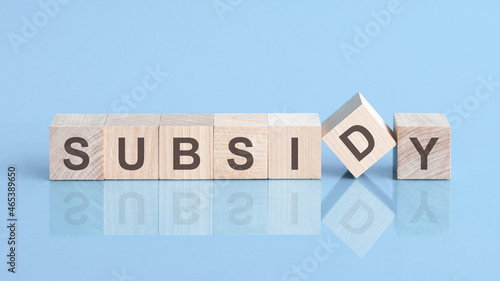 subsidy word is made of wooden building blocks lying on the blue table, concept