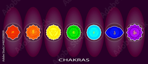 Chakras set: muladhara, swadhisthana, manipura, anahata, vishuddha, ajna, sahasrara. Om sign. Vector