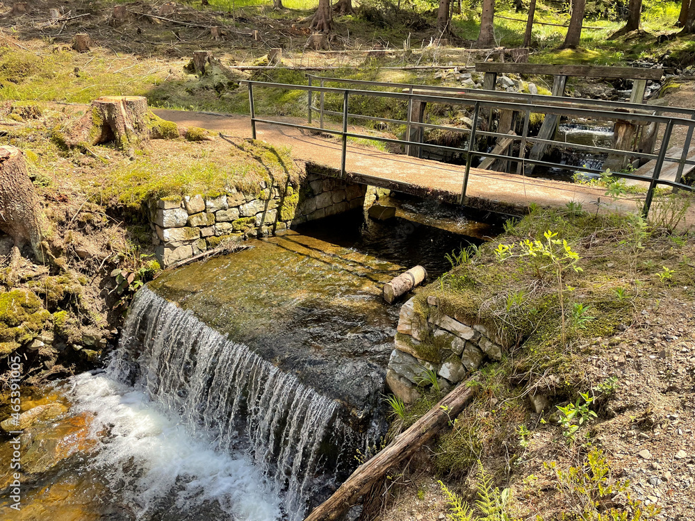 Obraz premium ein kleiner Bachlauf im Nationalpark Harz 