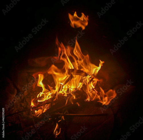 Fire flames on a black background