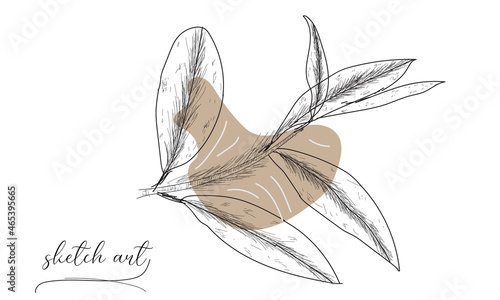 Leaf sketch art vector illustration on white background. 