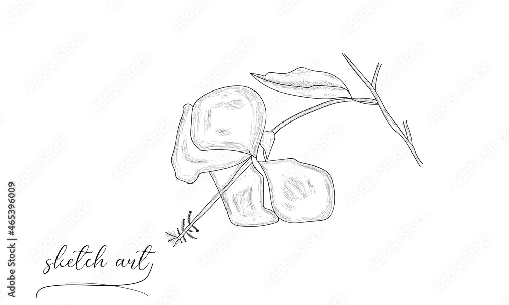 Beautiful hand-drawn leaf sketch vector art design. Beautiful hand-drawn leaf sketch vector art design.