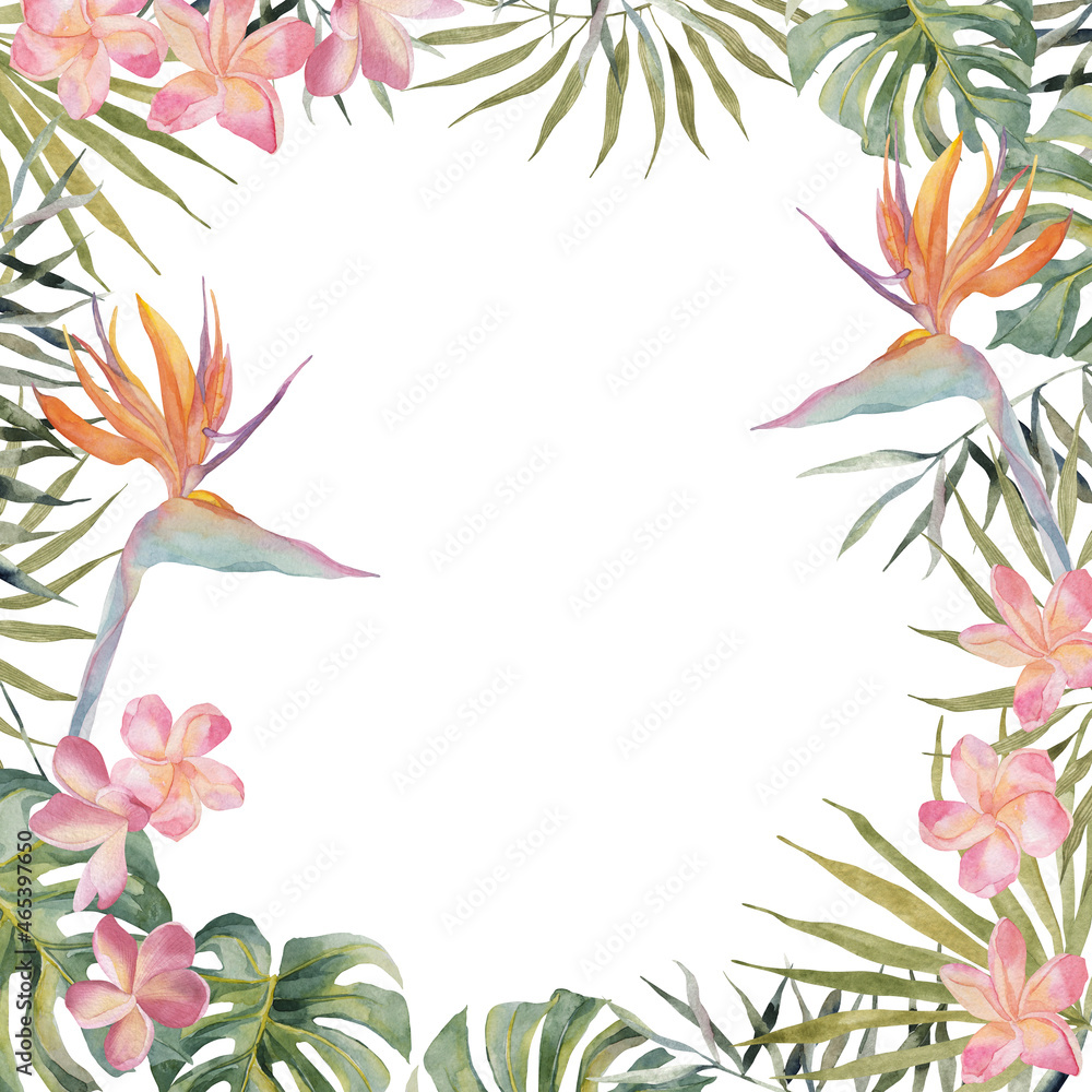 Naklejka premium Hand drawing watercolor summer banner - Strelitzia, plumeria, monstera, palm leaf. On white background with space for text. For scrapbooking, cards for birthday, party, textile, design.