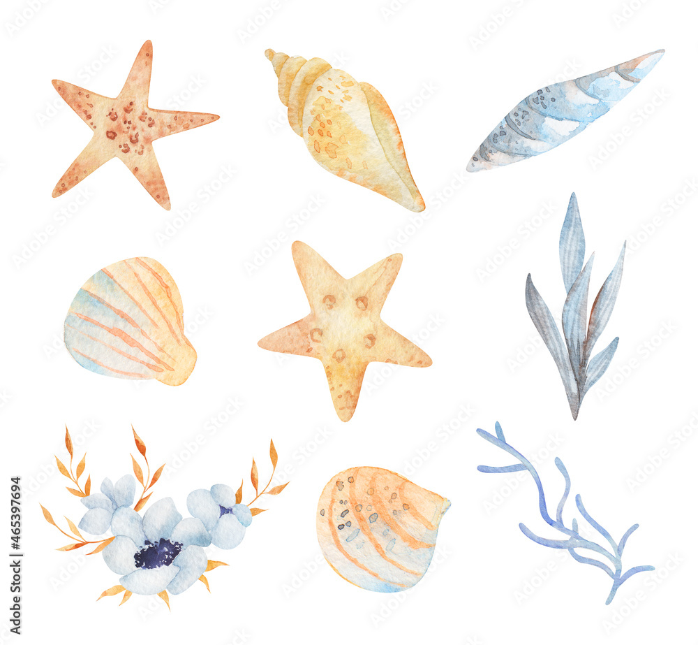 Watercolor sea set of starfish, seashells, conch, peonies on an isolated white background. underwater world hand drawing, summer clipart. For Printing on postcards, packaging, fabric, design, textile.