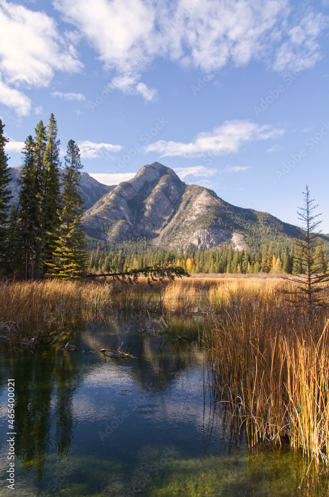 Mountain Scenery in Banff National Park